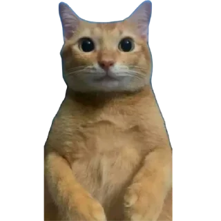 😐 emoji Otakus remasterizados Telegram sticker 8 of 114