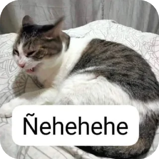 🐱 emoji TeleStickers Casa house Telegram sticker 13 of 41
