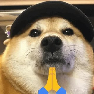 🙏 emoji Dogesh @IrissCore Telegram sticker 6 of 55