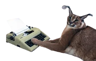 👨‍💻 emoji Chraus Telegram sticker 14 of 19