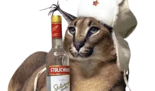 🥃 emoji Chraus Telegram sticker 5 of 19