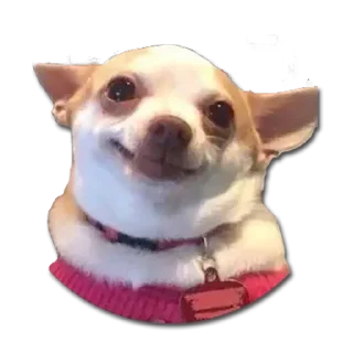 🐶 emoji Best-stickers Telegram sticker 20 of 117