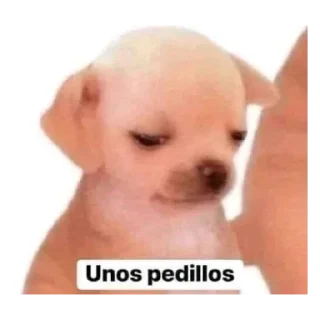 😔 emoji Eduardo Steal Pack 2 Telegram sticker 22 of 120