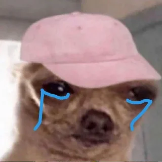 😅 emoji Ur mom gay Telegram sticker 11 of 12