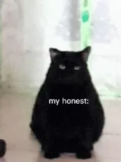 😐 emoji black cats @milinaira Telegram sticker 19 of 30