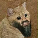 🐱 emoji Face Telegram sticker 15 of 74