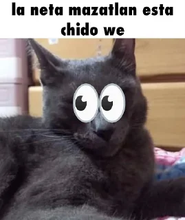 👀 emoji when como cuando Telegram sticker 8 of 64