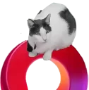 😺 emoji Fun fun fun ponyless Telegram sticker 7 of 14