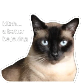 😒 emoji Hiro Silly Cat Telegram sticker 18 of 30