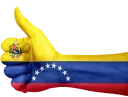 🇻🇪 emoji personal Telegram sticker 5 of 43
