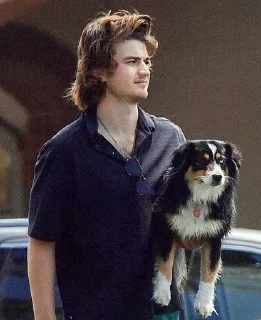 🌟 emoji Joe Keery(Mimi) Telegram sticker 10 of 87