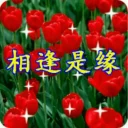 🌷 emoji 中老年表情包 Telegram sticker 7 of 120