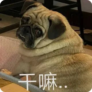 🌟 emoji 头狗贴纸包 Telegram sticker 12 of 24