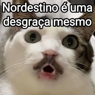 Sticker from Mensagens Fofas 4