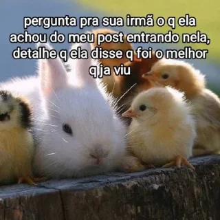 🐤 emoji Mensagens Fofas Telegram sticker 16 of 120