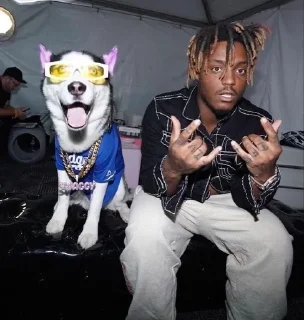 🐶 emoji 𝐉𝐮𝐢𝐜𝐞 𝐖𝐑𝐋𝐃 [ @GhostFaceGoodd ] Telegram sticker 8 of 49