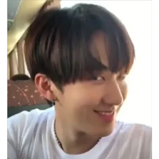 😏 emoji Stickers de SKZ Telegram sticker 17 of 40