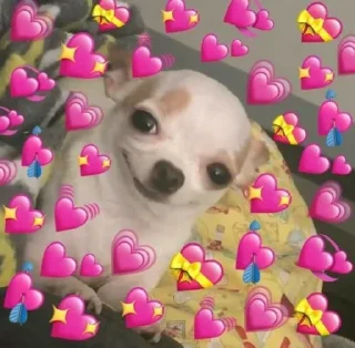 💗 emoji DiDi Telegram sticker 21 of 112