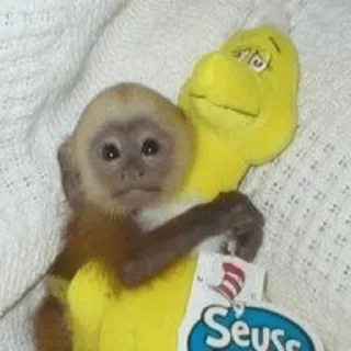 😁 emoji cutie monkey by irin＾∇＾ Telegram sticker 21 of 25