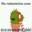 🌵 emoji 🌵 Telegram sticker 10 of 18