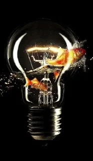 💡 emoji BULB @BlazingSquad Telegram sticker 18 of 22