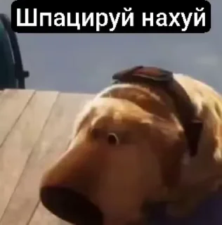 🌟 emoji Павел Кроликов Telegram sticker 19 of 120