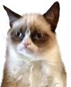 😔 emoji Diversos Stickers Telegram sticker 6 of 56