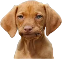 😒 emoji Diversos Stickers Telegram sticker 22 of 56