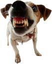 😡 emoji Diversos Stickers Telegram sticker 11 of 56