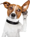 😳 emoji Diversos Stickers Telegram sticker 5 of 56
