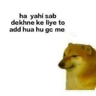 🧸 emoji Pookie 🎀(𝐌) Telegram sticker 24 of 75