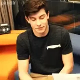 👍 emoji Shawn Mendes Telegram sticker 19 of 53