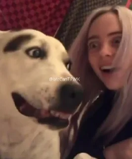 🥑 emoji Billie Eilish ✫ @WeCanTPWK Telegram sticker 19 of 77