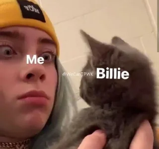 🥑 emoji Billie Eilish ✫ @WeCanTPWK Telegram sticker 6 of 77
