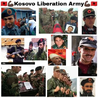 🇦🇱 emoji World Wide Serbs Telegram sticker 12 of 87