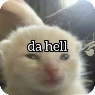 👍 emoji яɛԀɮuʟʟ ✨ Telegram sticker 8 of 120