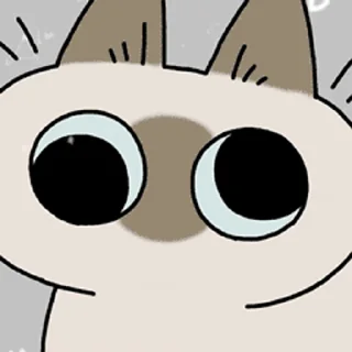 🤪 emoji Siamese Cat Azuki 2 Telegram sticker 12 of 16