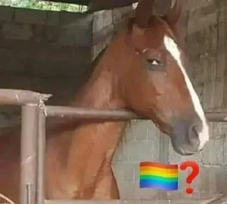🏳‍🌈 emoji 🏳️‍🌈❔ Telegram sticker 18 of 80