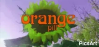 Sticker from Orange Pill Pack