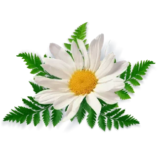 🌸 emoji Canal: @Mensagensemfé Telegram sticker 7 of 120