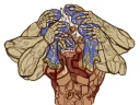 😨 emoji Cheloide's meme stash Telegram sticker 23 of 120