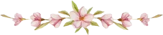 🌸 emoji فواصل Telegram sticker 22 of 62