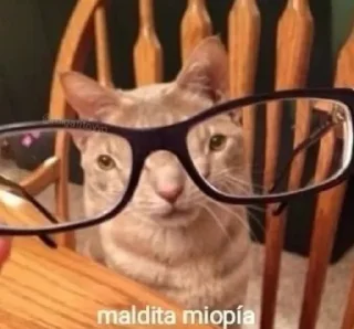 😎 emoji Que pasa Telegram sticker 15 of 120