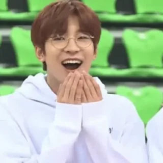 🦜 emoji Wonwoo by @aratickers Telegram sticker 13 of 35