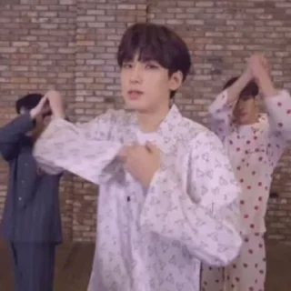 🦜 emoji Wonwoo by @aratickers Telegram sticker 9 of 35