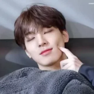 🦜 emoji Wonwoo by @aratickers Telegram sticker 11 of 35