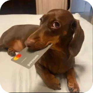 😀 emoji Salchichas V1 Telegram sticker 13 of 26