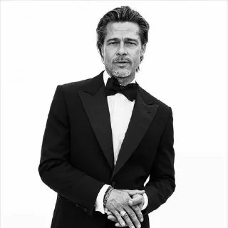 😎 emoji Brad pitt | @Bialy_Wilk Telegram sticker 2 of 120