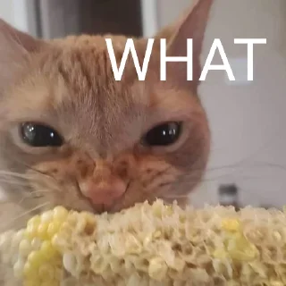 🐈 emoji Cat Eating Corn Telegram sticker 14 of 29
