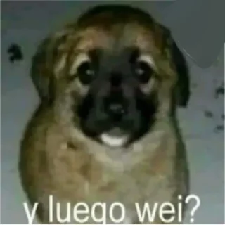❔ emoji My Mexichango Reaction Telegram sticker 13 of 35